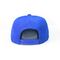 夏の顧客用ロゴのステッカーの青によって印刷される平らなビルのHip Hopの急な回復の帽子