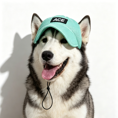屋外および屋内ペット帽子 小型犬に適した パッケージは1 xペット帽子 安定したフィットのために調整可能なストラップが含まれています