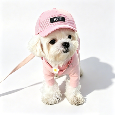 50グラム 綿 かわいいペット帽子 多彩なデザイン マッチング 様々な服装とペットの個性 完璧なプレゼント